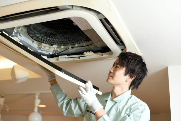 Air Duct Mold Removal in WY