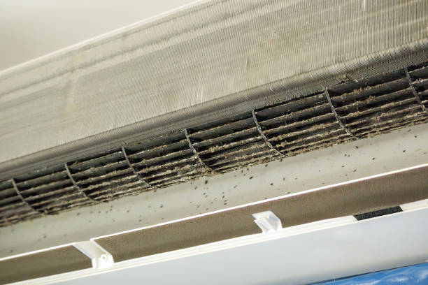 Best Air Duct Cleaning Near Me  in Kemmerer, WY